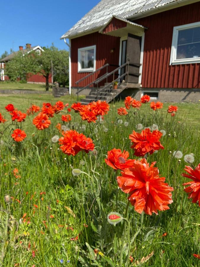 Hus Pa Landet I Sodra Kronoberg Almeboda Luaran gambar