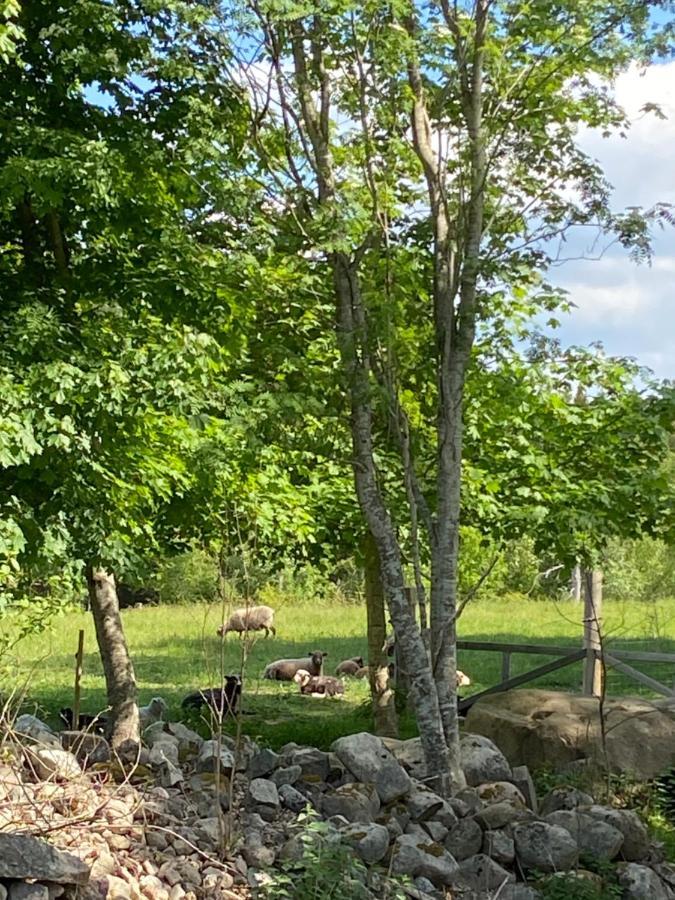 Hus Pa Landet I Sodra Kronoberg Almeboda Luaran gambar